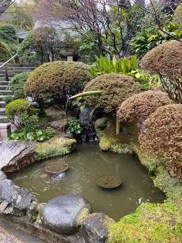 報国寺の庭園