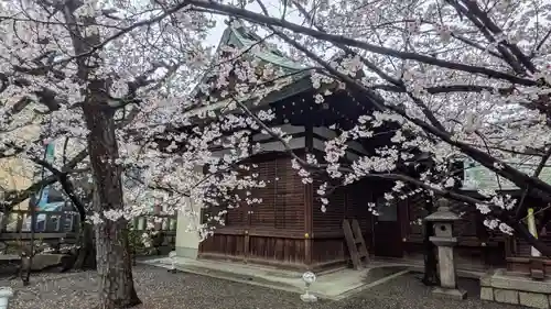 天孫神社(滋賀県)