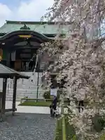 宝勝山 南藏院 蓮光寺の本殿・本堂