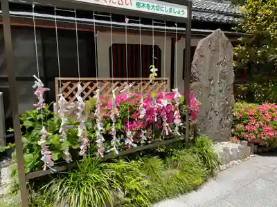 仙台大神宮のおみくじ