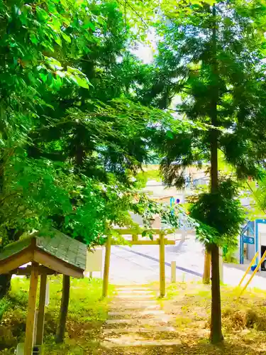 浅間神社の鳥居