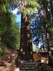 丹生川上神社（中社）(奈良県)