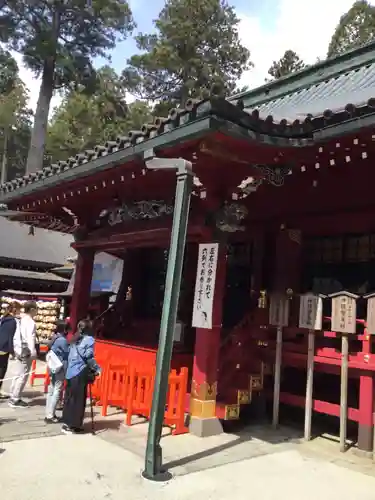 箱根神社の本殿・本堂