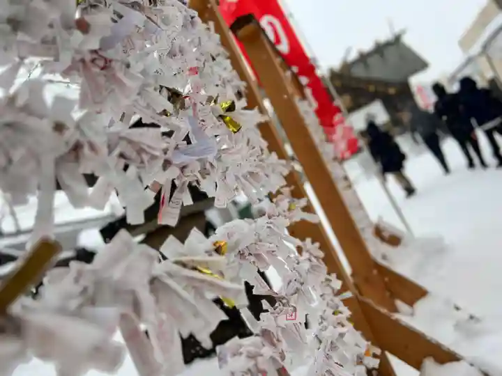 札幌諏訪神社のおみくじ