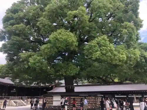 明治神宮(東京都)