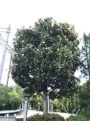 検見川神社の自然