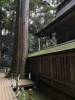 鹿島神宮(茨城県)