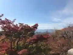 清水寺の景色