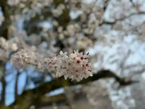 伊勢の国 四天王寺(三重県)