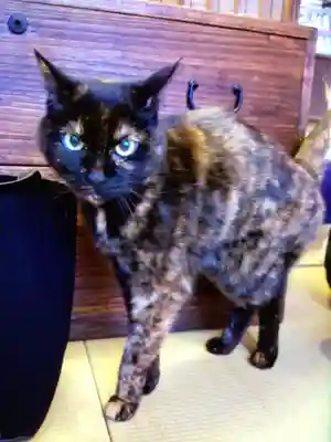 五十稲荷神社(栄寿稲荷神社)(東京都)