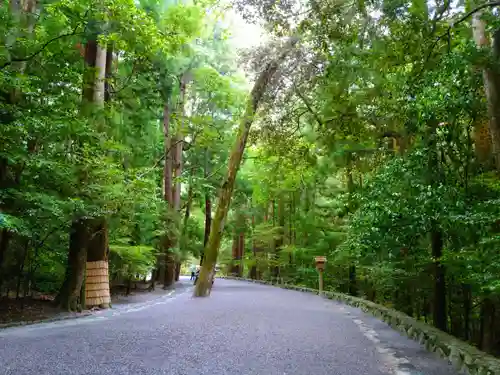 伊勢神宮内宮（皇大神宮）の自然
