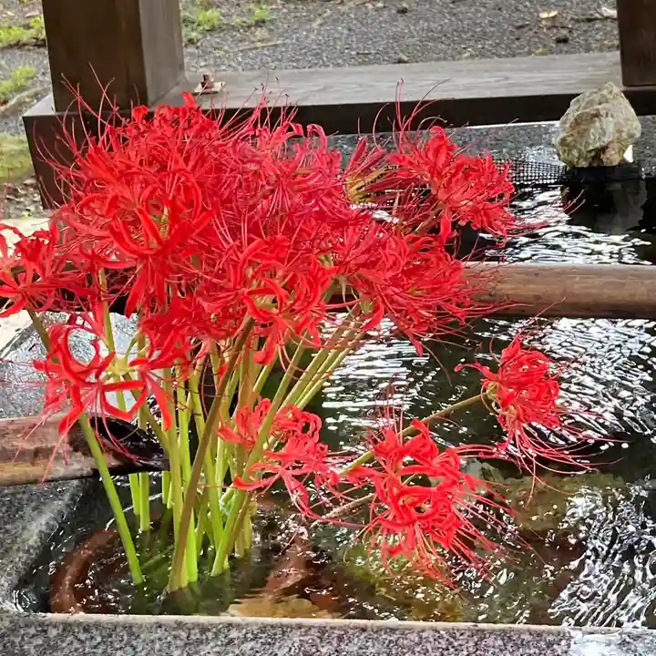 高司神社〜むすびの神の鎮まる社〜の手水舎