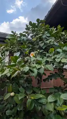 西方尼寺(京都府)