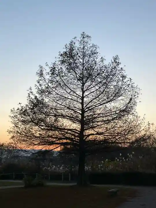 鞆江神社(明地)(愛知県)