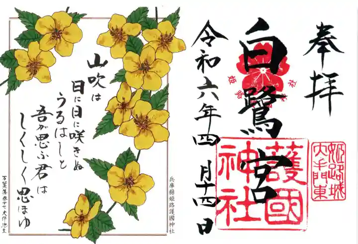 兵庫縣姫路護國神社の御朱印