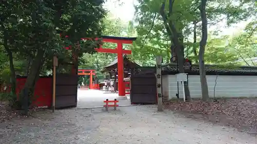 河合神社（鴨川合坐小社宅神社）の鳥居