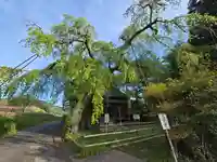 西光寺(奈良県)