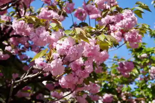 福王山  慈眼寺の自然