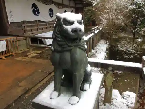 丹生都比売神社の狛犬