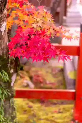 大原野神社(京都府)