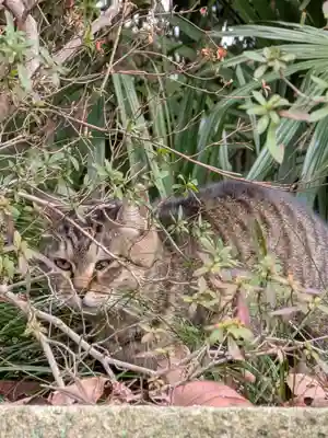 西照寺(東京都)