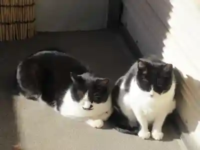 白金氷川神社(東京都)