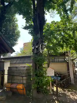 那古野神社(愛知県)