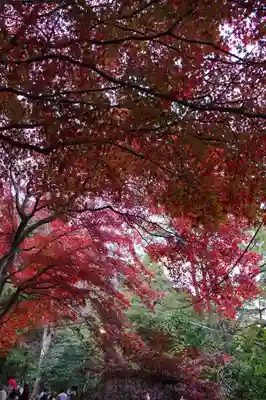 大山寺のその他建物