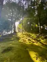 城南宮(京都府)