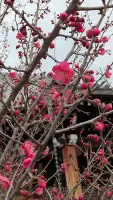 蓮花寺(大阪府)