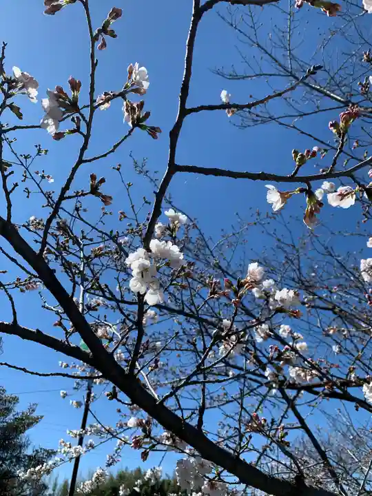武蔵第六天神社(埼玉県)