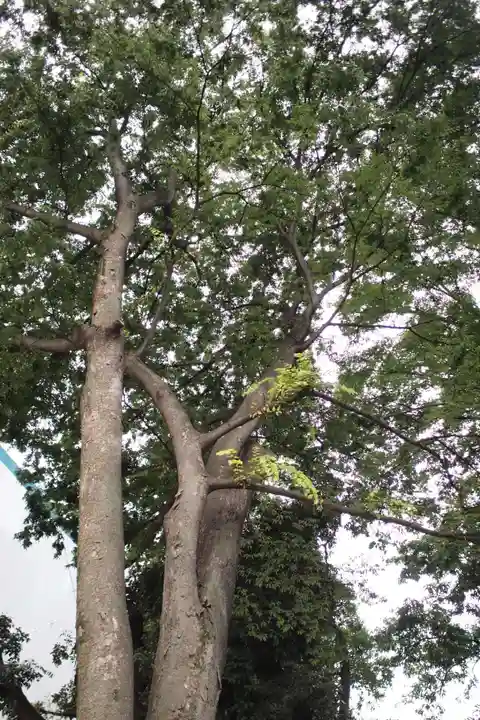 上落合神明神社(埼玉県)