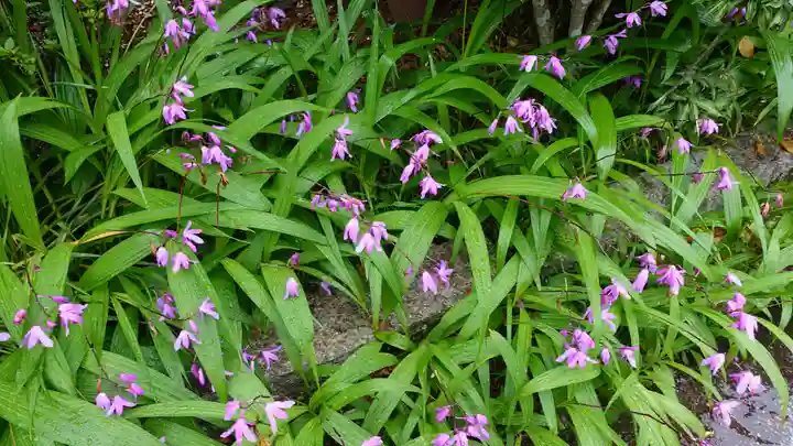 浄土寺(愛媛県)