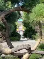 寛永寺不忍池弁天堂(東京都)