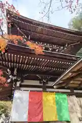 禅林寺（永観堂）の建物その他