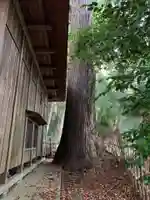 御霊神社の自然