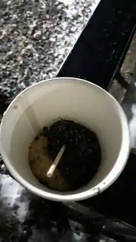 新琴似神社の食事