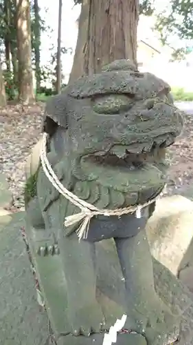 瀧泉神社の狛犬