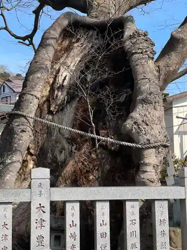 比々多神社の自然