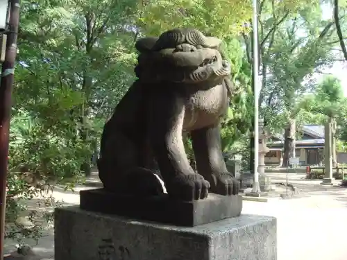 飯香岡八幡宮の狛犬