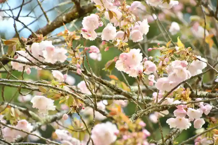 磐椅神社(福島県)