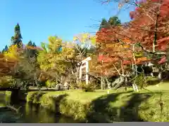 土津神社｜こどもと出世の神さまの建物その他