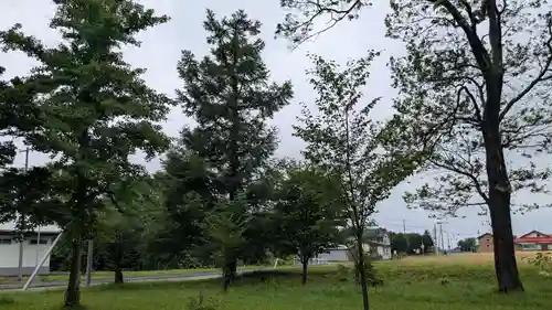 有明八幡神社の自然