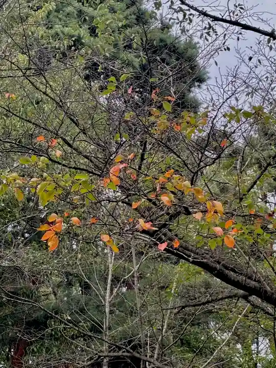 蚊里田八幡宮(長野県)