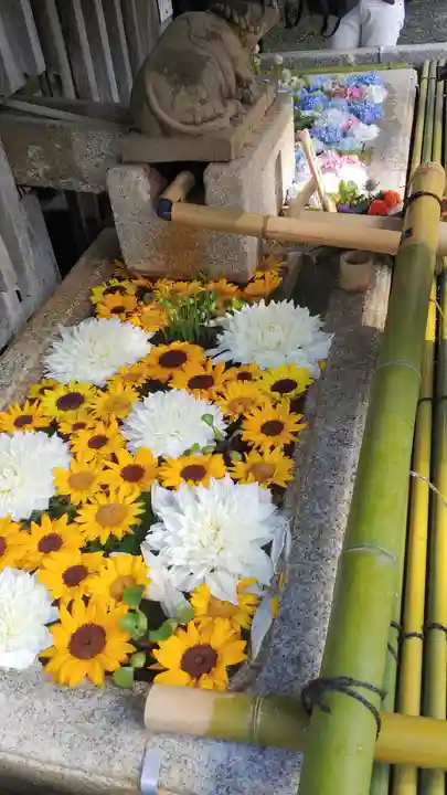 北野天満宮の手水舎