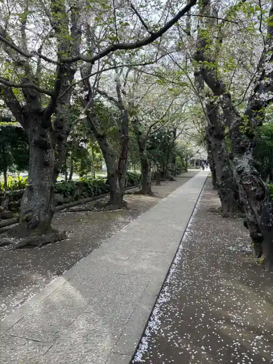 極楽寺(霊鷲山感應院極楽律寺)の景色