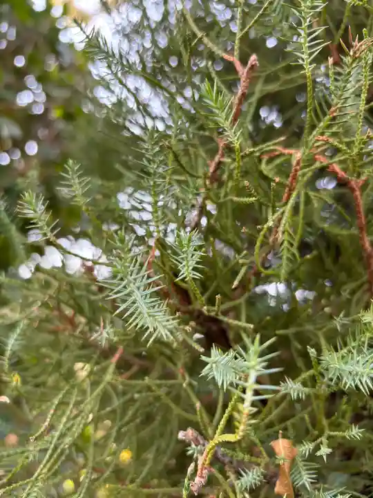 良仙寺(兵庫県)
