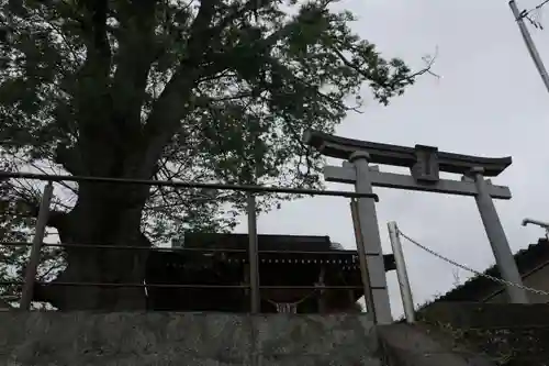 二階堂神社の景色