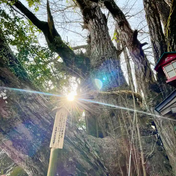 高塚愛宕地蔵尊(大分県)