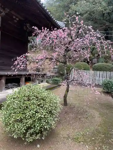 白峯寺(香川県)